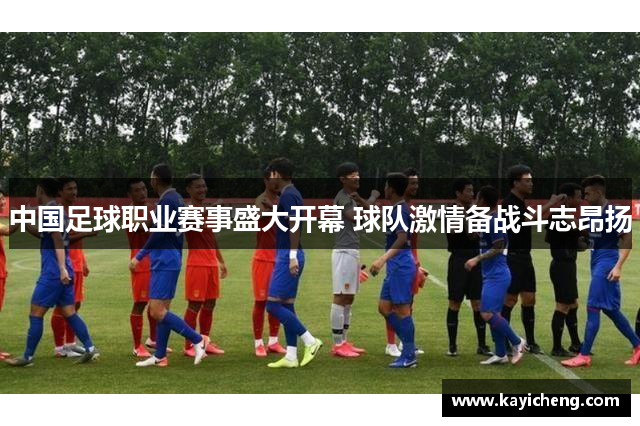 中国足球职业赛事盛大开幕 球队激情备战斗志昂扬
