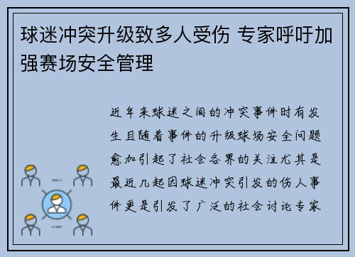 球迷冲突升级致多人受伤 专家呼吁加强赛场安全管理